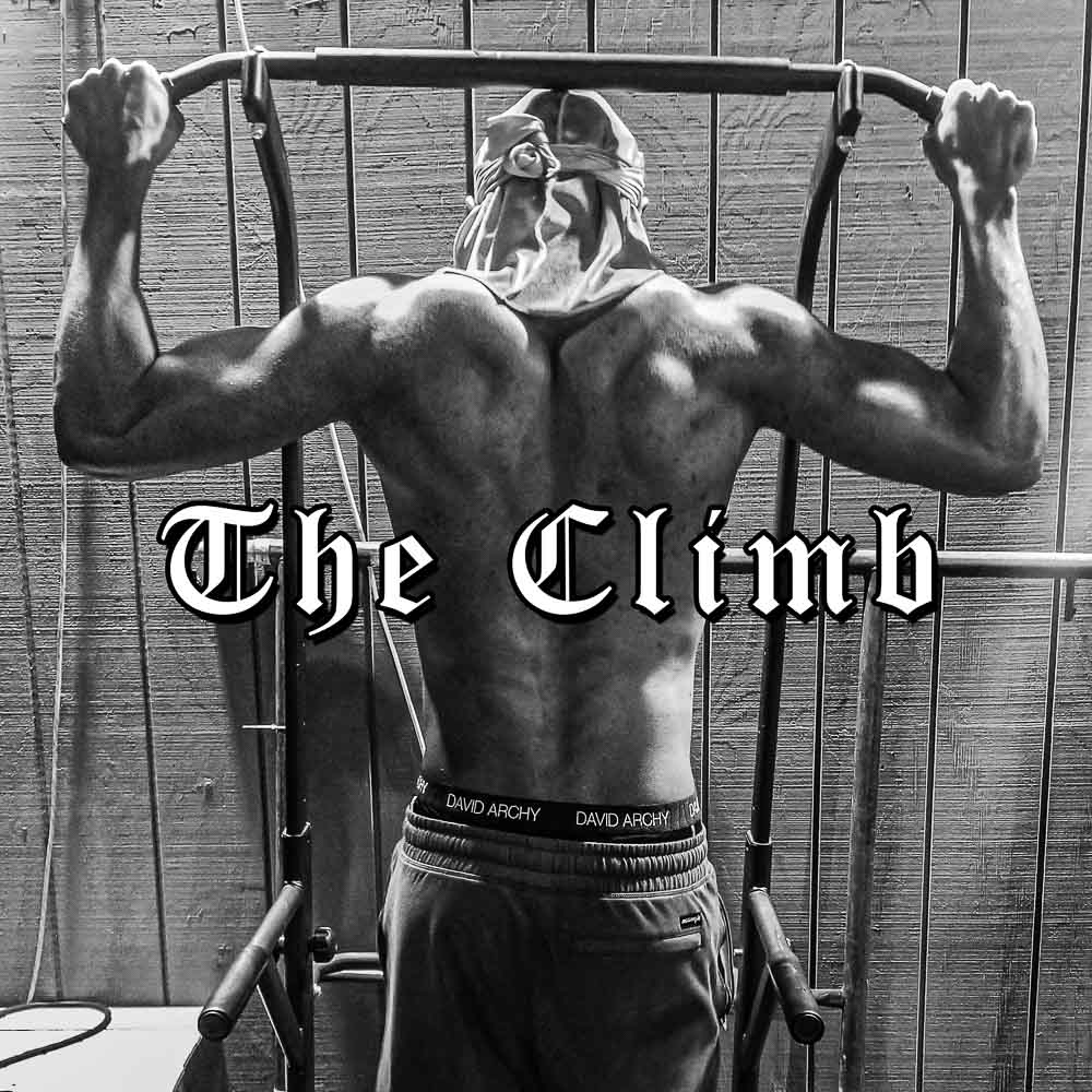 Cover art for The Climb